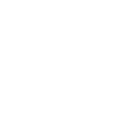 Proposal & Pricing
